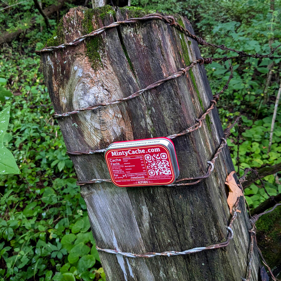 ///kidneys.redundancy.lasted