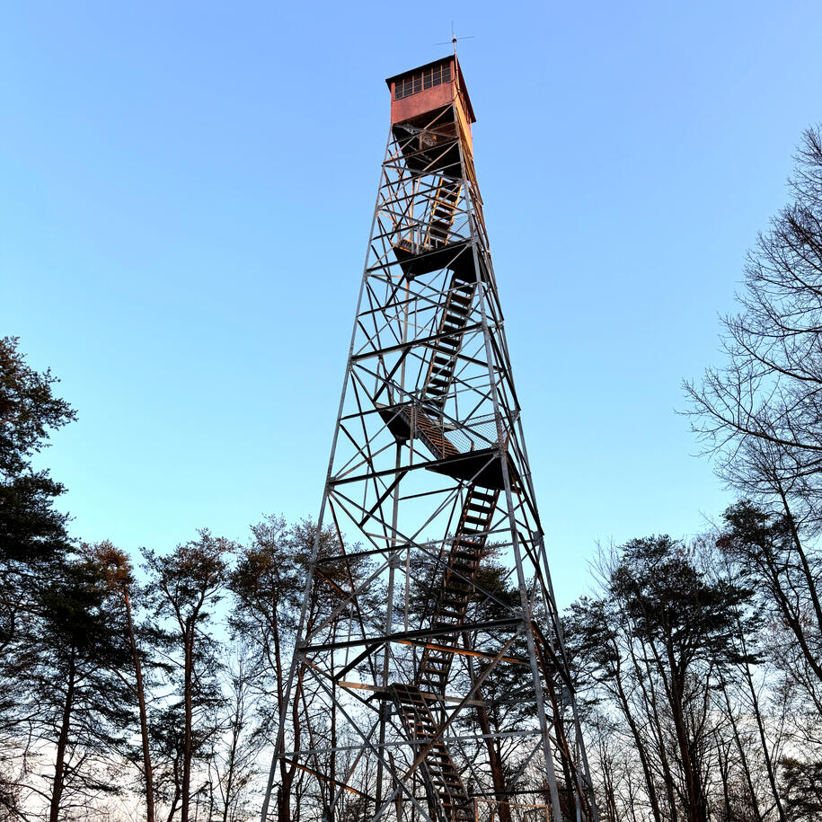 ///wildest.mascots.vets